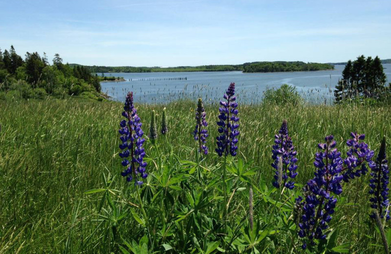 Scenic view at Rossport Lodging & Retreat.