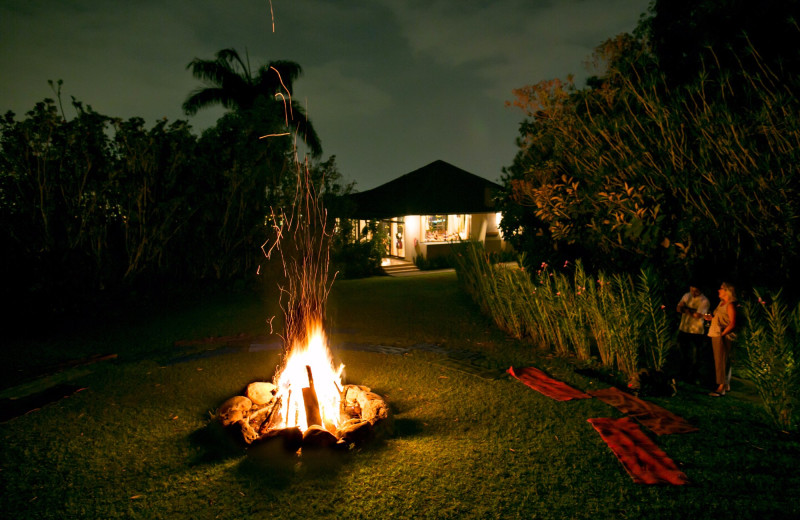 Campfire at Pura Vida Spa & Retreat.