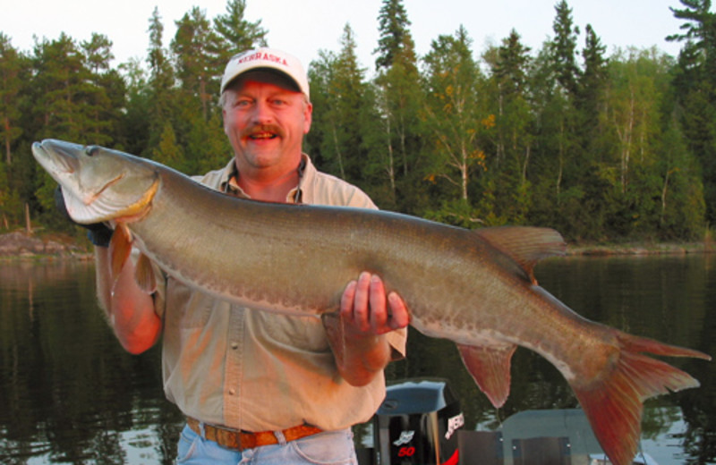 Fishing at Nielsen's Fly-in Fishing Lodge