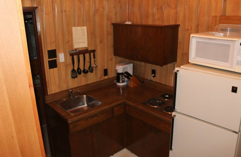 Cabin kitchen at Tallpine Lodges.