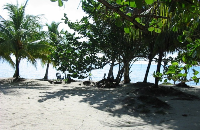 Beach at Blue Crab Beach Resort.