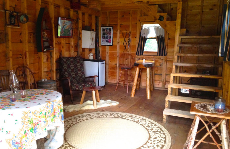 Cabin living room at Rossport Lodging & Retreat.