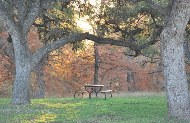 Picnic table at Criders Frio River Resort.