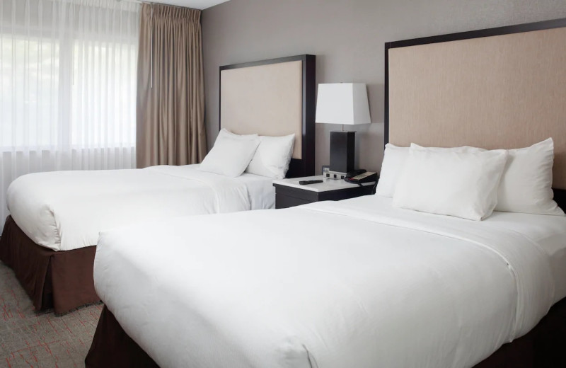 Guest room at DoubleTree Guest Suites Dayton/Miamisburg.