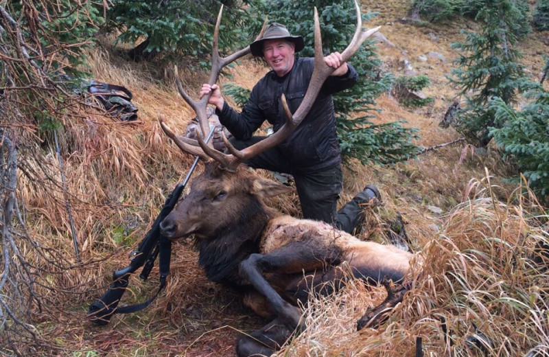 Hunting elk near Pine River Lodge.
