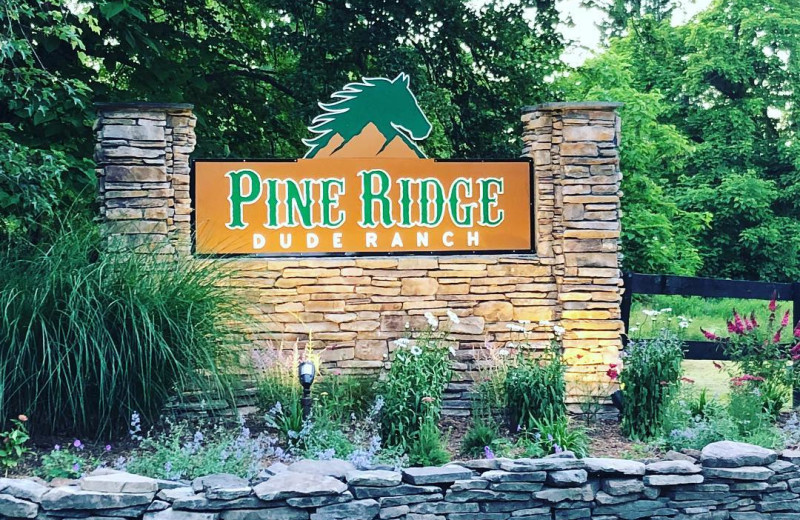 Pine Ridge Dude Ranch