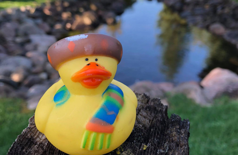 Rubber duck at Kavanaugh's Sylvan Lake Resort.