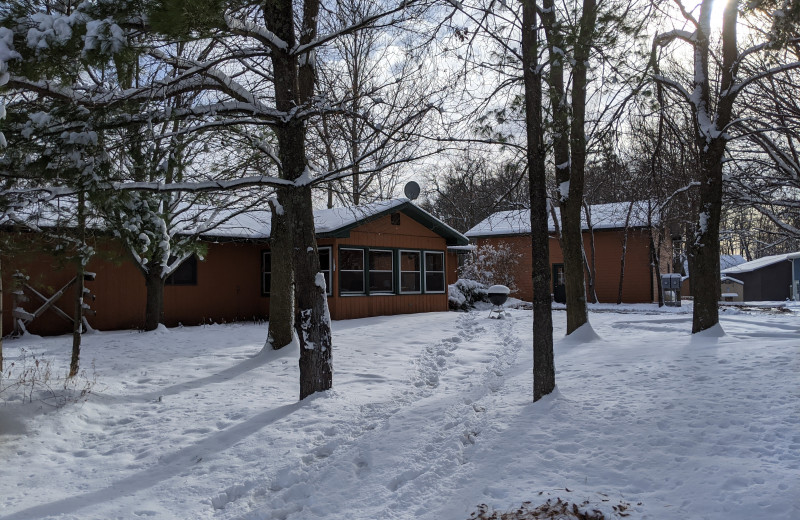 Most of our cabins are open year round