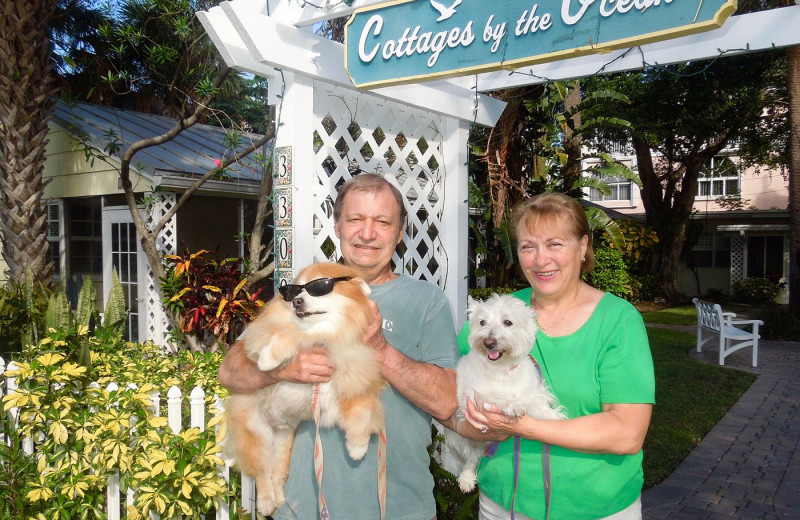 Pets welcome at Beach Vacation Rentals.