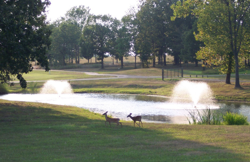 Golf course at Mariners Landing.