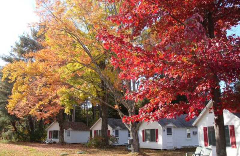 Exterior view of Cozy Cottages.