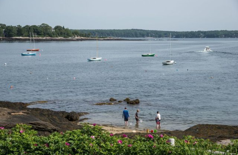 Scenic view at Linekin Bay Resort.