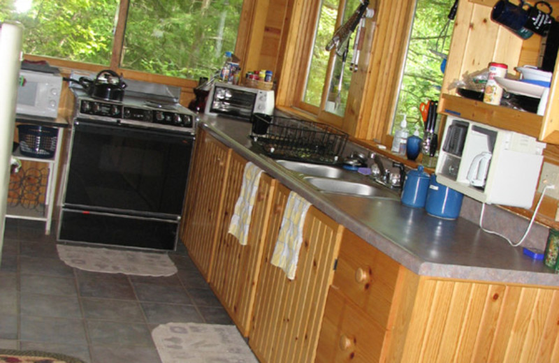 Cabin Kitchen at Blue Jay Farm 