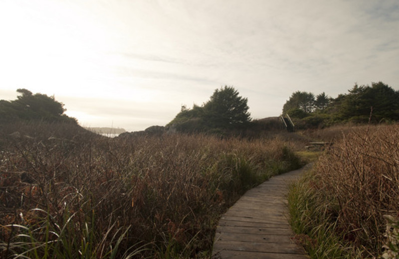 Walking Paths Around Pacific Sands Beach Resort 