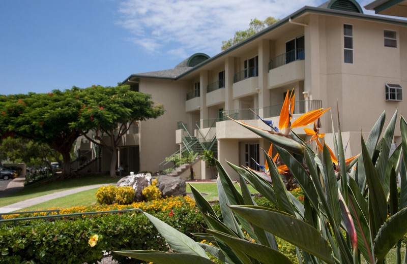 Exterior view of Paniolo Greens Resort.