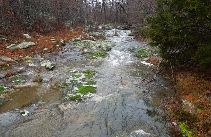River near Azalea Falls Lodge.