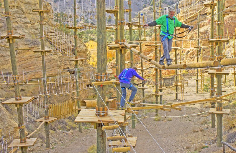 Rope course at Mt. Princeton Hot Springs Resort.