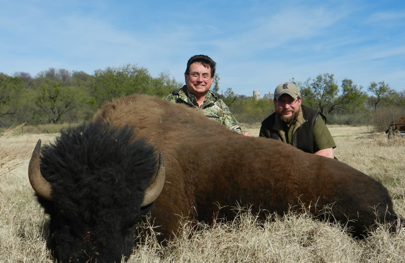 Bison hunting at Greystone Castle Sporting Club.