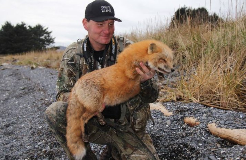 Fox hunting at hunting at Port Lions Lodge.