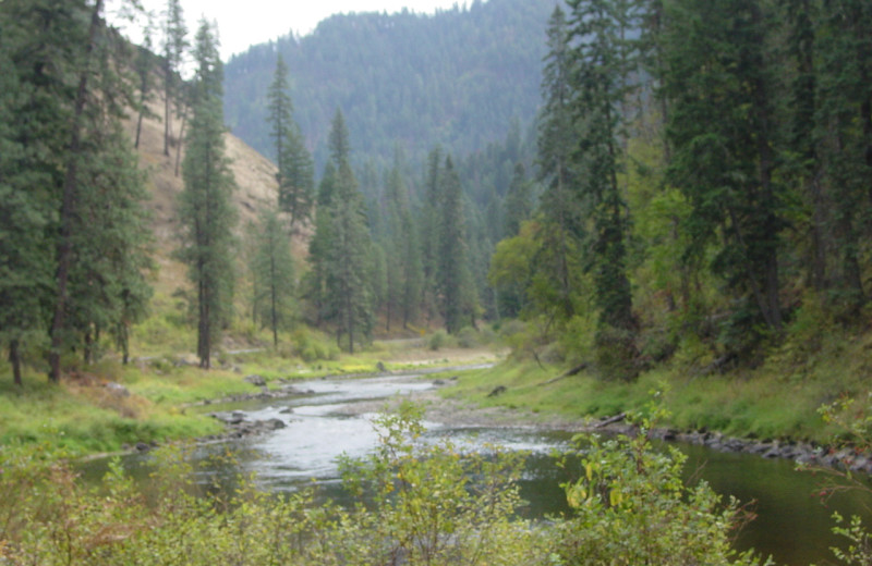 Bitterroot mountains by Elk City Hotel.