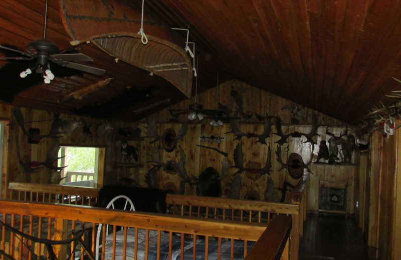 Loft at Absolute Outfitters Twin Pine Lodge.