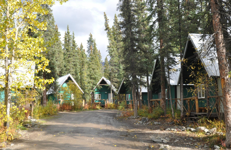 Cabins at Denali Perch Resort.