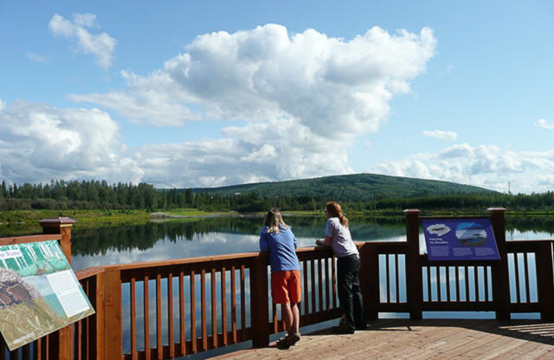 Wildlife sanctuary at Bear Lodge.