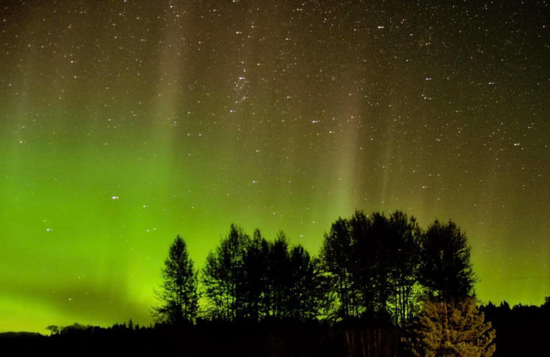 Aurora at Frontier Experience.