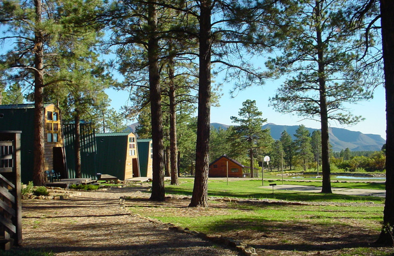 Exterior view of Echo Basin Cabin And RV Resort.