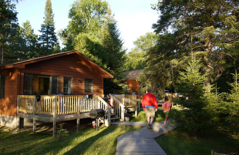 Cabins at Black Pine Beach Resort