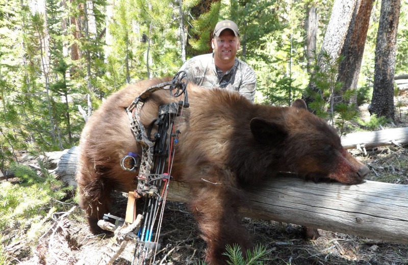 Bear hunting at Kendall Valley Lodge.