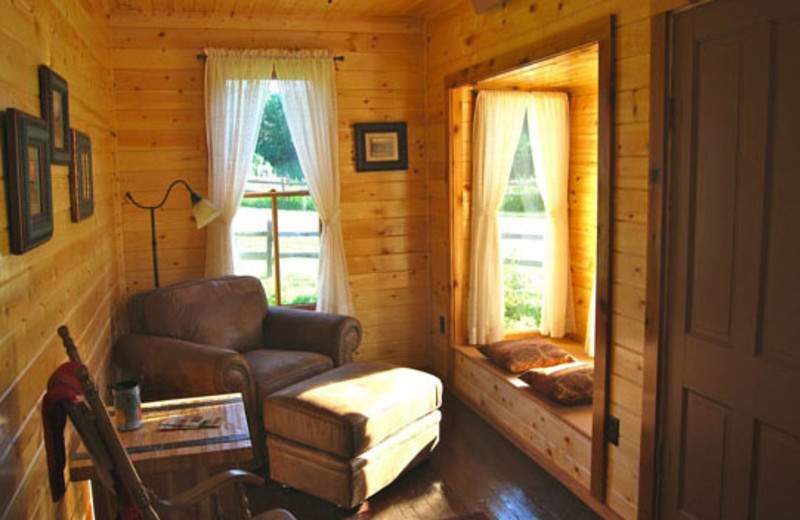 Cabin living room at Newton Fork Ranch.