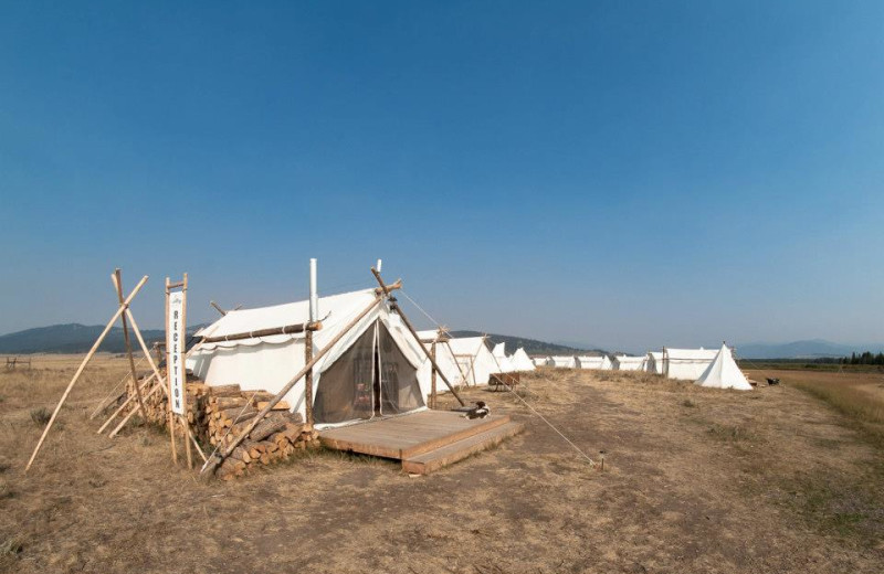 Yellowstone Under Canvas (West Yellowstone, MT) Resort Reviews