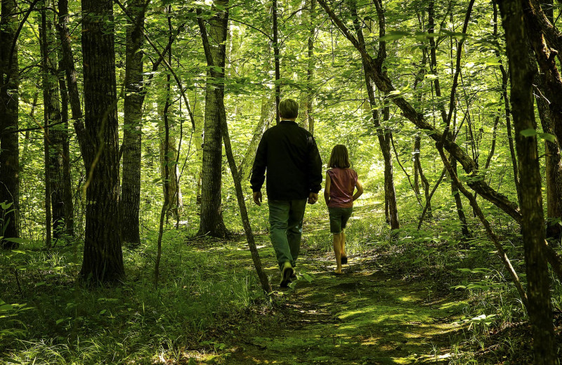 Hiking at Pine Terrace Resort.