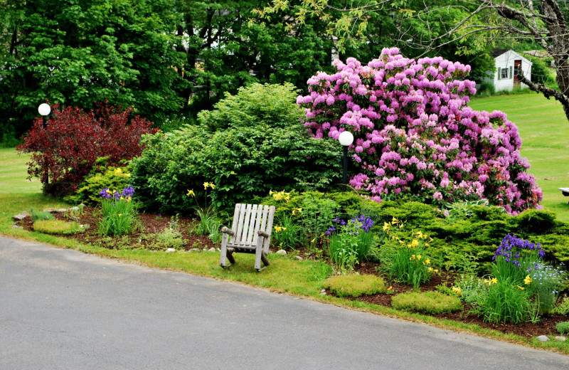 Garden at Cedar Crest Inn.