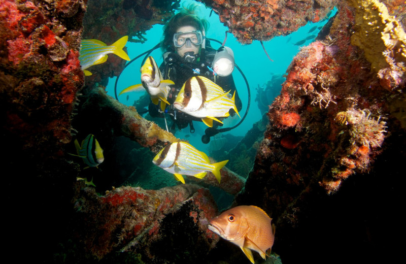 Scuba diving near Coral Bay Resort.