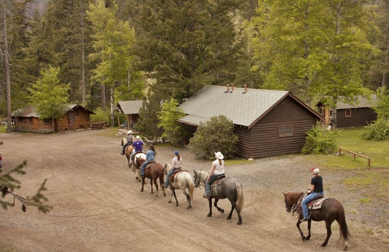 Horseback riding at Absaroka Mountain Lodge.