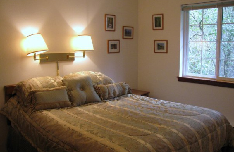 King suite at Rain Forest Resort.