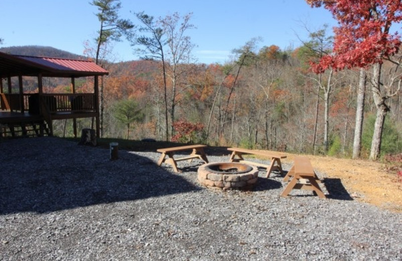 Four Seasons Lodge - American Patriot Getaways