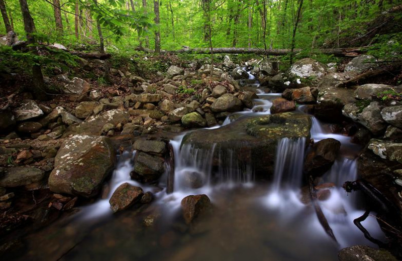 Queen Wilhelmina Falls at Rainey Day Resort.