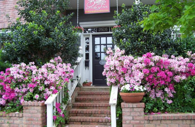 Exterior view of Bailey's Uptown Inn.