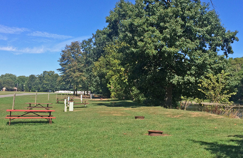 Campsites at Yogi Bear's Jellystone Park Gardiner.