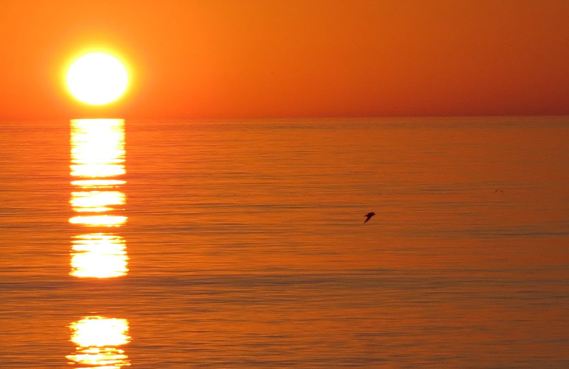 Beach sunset at Sunrise Bay Resort & Club Condominium.