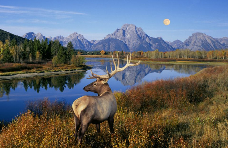 Scenic view near 7 Point Ranch.