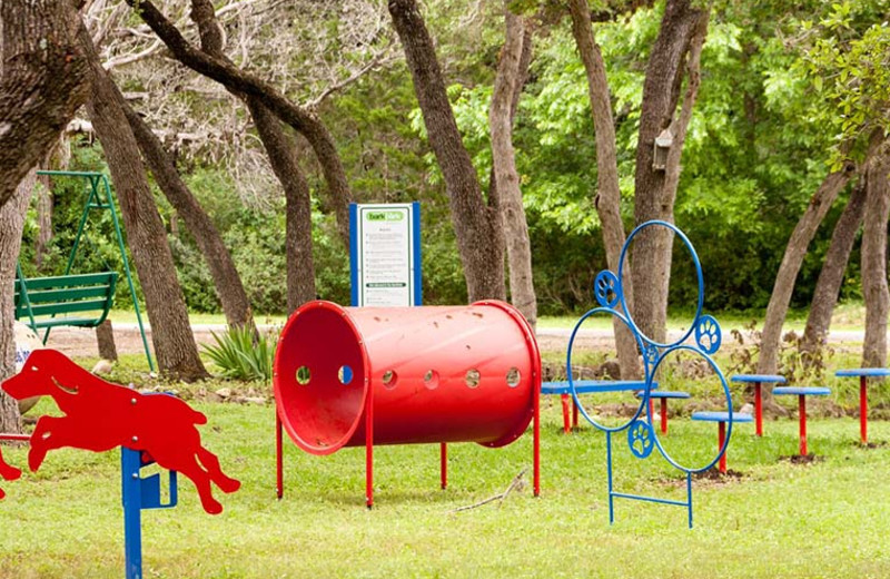 Dog park at Yogi Bear's Jellystone Park Hill Country.