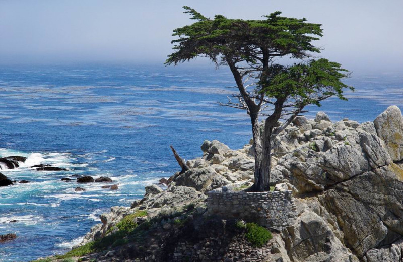 Scenic view near Monterey Tides.