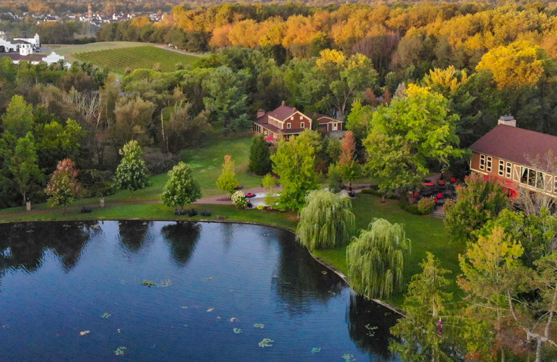 Lake view at Gervasi Vineyard.