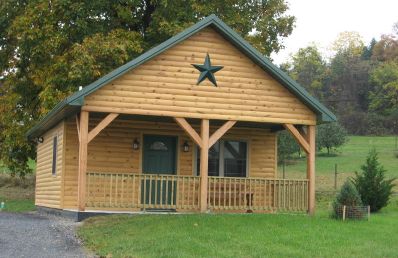 Cabin exterior at 7C's Lodging.