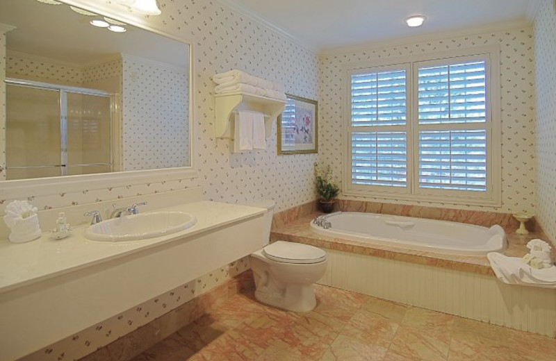 Mountain View Suites Bathroom with Single Ultra-bath Therapy tub at The Ashley Inn.