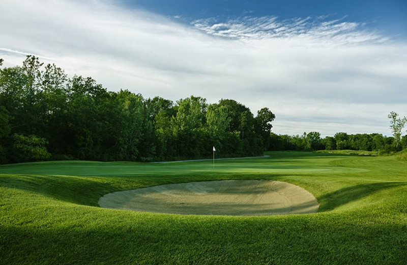 Picton Golf & Country Club near Sandbanks Summer Village Cottage Resort.